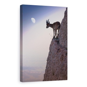 Tablou Canvas - Printr-Un Buchet De Flori, Fauna Salbatica, Ibex, Cer, Capra De Munte, Margine, 60 x 90 cm