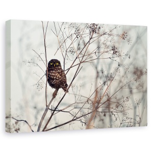 Tablou canvas - Priveste-ma!, Nature, Salbatic, Ochii, Ramura, 60 x 90 cm