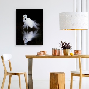 Tablou canvas - Privind, Pasare, Alb, Contrast, Reflectie, Animal, 75 x 100 cm - Img 4