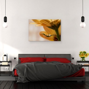 Tablou canvas - Protejat, Floare, Macro, Apa, 40 x 60 cm - Img 3