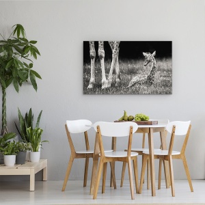 Tablou canvas - Protejat, Girafa, Copil, Cub, Dragut, Animal, 50 x 80 cm - Img 4