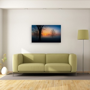 Tablou canvas - Rasarit Cetos De Soare, Dimineata, Rasarit De Soare, Ceata, Copaci, Soare, 50 x 80 cm - Img 2