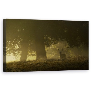 Tablou canvas - Rasarit De Soare Magic, Elan, Cerb, Coarne De Cerb, Silueta, 50 x 100 cm