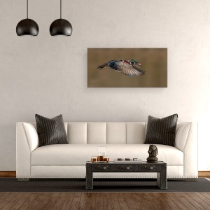 Tablou canvas - Ratoi In Zbor, Rata, Salbatic, Pasare, 50 x 100 cm - Img 2