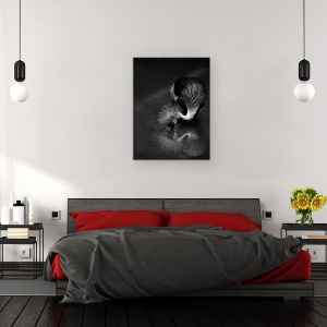 Tablou canvas - Reflectie, Pasare, Apa, Alb-Negru, Oglinda, 60 x 80 cm - Img 3