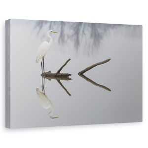 Tablou canvas - Reflectii, Heron, Pasare, Alb, Rau, Reflectie, 60 x 90 cm