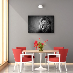Tablou canvas Regal Nature cu leu rege 60x90 cm