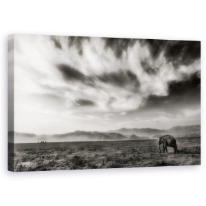 Tablou canvas - Regatul, Corbett, Habitat, Elefant, Salbatic, Alb-Negru, 50 x 80 cm