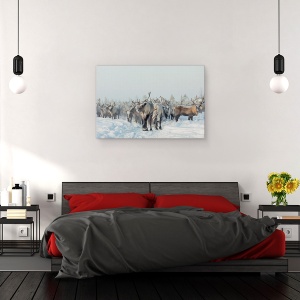 Tablou canvas - Reni, Animale, Reni, Iarna, 80 x 120 cm - Img 3