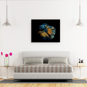 Tablou canvas - Rochia Mea, Peste De Lupta Siamez, Intuneric, Punct, 60 x 75 cm - Img 3