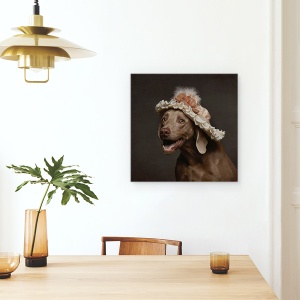 Tablou canvas - Roos, Caine, Palarie, Caini, Animale, 90 x 90 cm - Img 4