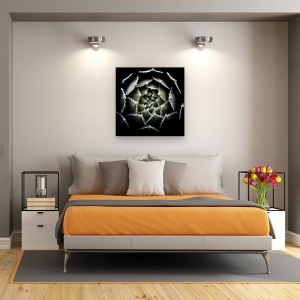 Tablou Canvas - Rozeta Sempervivum, Rosette, Suculent, Sempervivum, Plante, 90 x 90 cm - Img 3