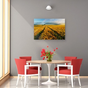 Tablou canvas - Rural, Camp, Peisaj, Copac, Singuratic, Batut De Vant, 60 x 90 cm - Img 4