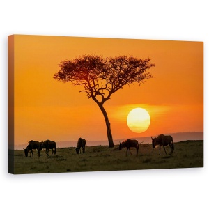 Tablou canvas - Safari In Apus, Kenya, Safari, Apus De Soare, Gnu, Masai Mara, 50 x 80 cm