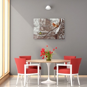 Tablou canvas - Salut, Veverita, Intalnire, Conexiune, Interactiune, Dragut, 40 x 60 cm - Img 4