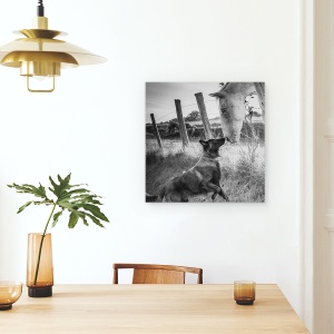 Tablou canvas - Sarutul Prietenului, Caine, Cal, Animale, Tervuren, 60 x 60 cm - Img 4