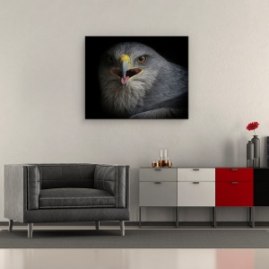 Tablou Canvas - Strigat De Razboi, Natura, Pasare, Vultur, Ochi, Agape, Cioc, 40 x 50 cm - Img 2