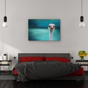 Tablou canvas - Strut protejandu-si puii de vant, Animal, Humor, Turcoaz, 80 x 120 cm - Img 3