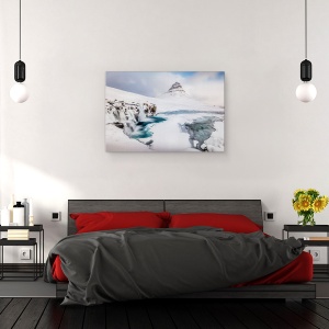 Tablou canvas - Subiect Faimos, Peisaj, Castigator, Zapada, Inghet, Alb, 40 x 60 cm - Img 3