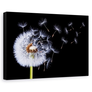 Tablou canvas - Sufland In Papadie, Abstract, Inflorit, 60 x 90 cm