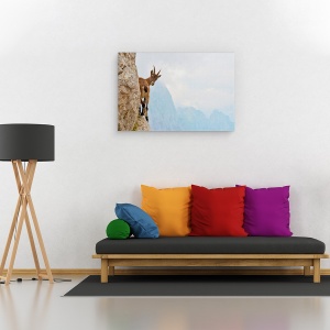 Tablou canvas - Suspans, Ibex, Munte, Italia, Capra, 40 x 60 cm - Img 2