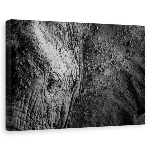 Tablou canvas - Textura Naturala, Elefant, Ochi, Tulbure, Alb-Negru, Vechi, 80 x 120 cm