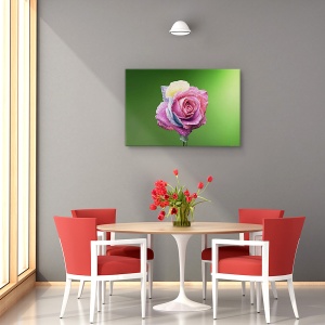 Tablou canvas trandafir roz cu rouă