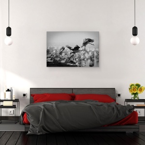 Tablou canvas - Trio, Fauna, Salbatic, Natura, Animal, Pasare, 60 x 90 cm - Img 3