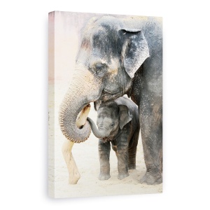 Tablou Canvas - Two, Elefant, Gradina Zoologica, Animale, Tineri, Baby, 60 x 90 cm