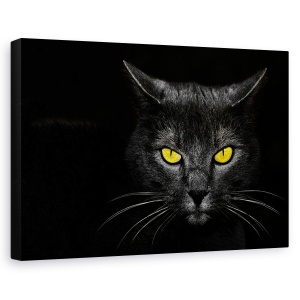 Tablou canvas - Ucigasul de monstri, Animal, Pisica, Galben, 80 x 120 cm
