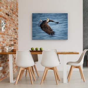 Tablou canvas - Uita-Te La Mine, Mississippi, Rau, Illinois, Vultur Alb, 60 x 80 cm - Img 4