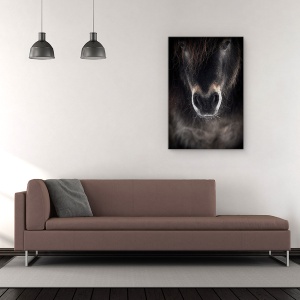 Tablou Canvas - Ulise, Cal, Animale, Coama, Animale, Animal De Casa, 60 x 90 cm - Img 2