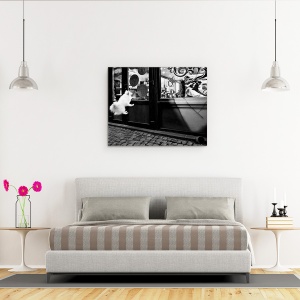 Tablou canvas - Ultimul Client, Caine, Salt, Pet, Strada, 60 x 75 cm - Img 3
