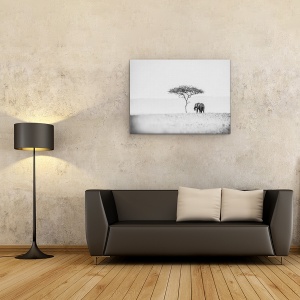 Tablou canvas - Umbrela, Elefant, Salbatic, Natura, Kenya, Alb-Negru, 50 x 70 cm - Img 2