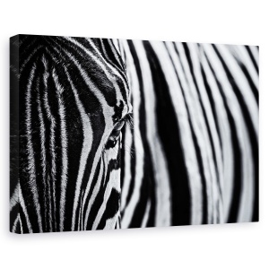 Tablou canvas - Un colt de natura, Animal, Zebra, Dungi, Linii, 80 x 120 cm
