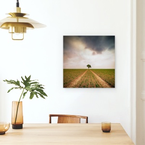 Tablou canvas - Un Copac, Singuratic, Piese, Drum, 60 x 60 cm - Img 4