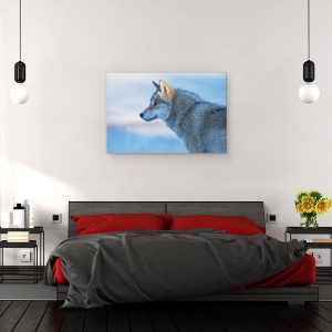 Tablou canvas - Un Lup Vigilent, Animal, Animale, Blana, Lup, 40 x 60 cm - Img 3