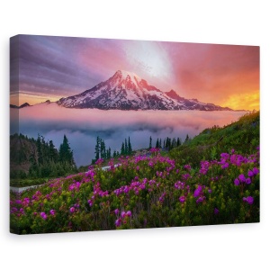 Tablou canvas - Un Moment In Timp, Peisaj, Alpi, Varf, Munte, Flori, 40 x 60 cm