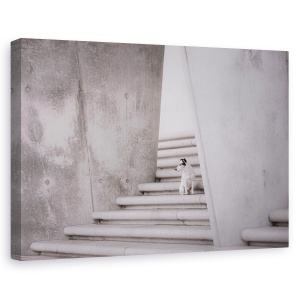 Tablou canvas - Urbanitate Nr.ii, Caini, Urban, Oras, Hamburg, 60 x 90 cm