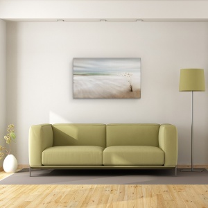Tablou canvas - Urechi In Mare, Peisaj Marin, Floare, Moale, 50 x 80 cm - Img 2