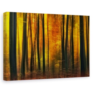 Tablou canvas - Venirea Toamnei, Padure, Peisaj, Frunza, 40 x 60 cm