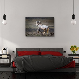 Tablou canvas - Vestul Salbatic, Animal, Cal, Alergare, Galop, 80 x 120 cm - Img 3