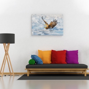 Tablou canvas - Vin, Natura, Pasare, Animal, Vultur, Gheata, 60 x 90 cm - Img 2
