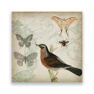 Tablou Canvas - Vintage, Pasari, Fluturi, 60 x 60 cm
