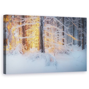 Tablou canvas - Vis Tacut, Austria, Woodquater, Austria De Jos, Iarna, Nieder, 50 x 80 cm