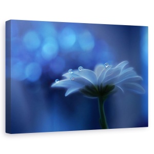 Tablou canvas - Visele Spatiale, Picatura, Apa, Floare, Albastru, 60 x 90 cm