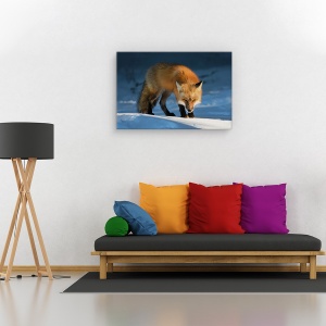 Tablou canvas - Vulpe rosie, Nature, Zapada, Iarna, Natura, 80 x 120 cm - Img 2