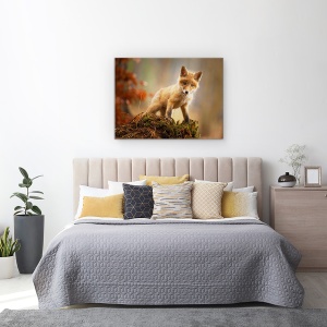 Tablou canvas - Vulpe, Vulpe, Bebe, Dragut, Animal, 60 x 80 cm - Img 3