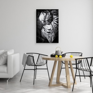 Tablou canvas - Yin Si Yang, Pisica, Animale De Companie, Dragut, Obosit, 40 x 60 cm - Img 4