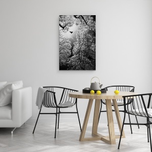 Tablou canvas - Zbor, Pasare, Copaci, Melenci, Serbia, 60 x 90 cm - Img 3
